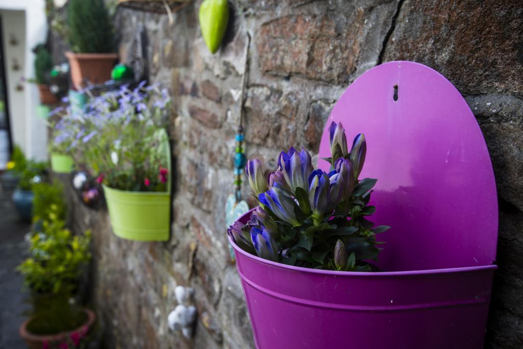 The Moda House Chipping Sodbury Luaran gambar